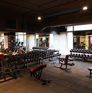 Partner DNA 360 Gym Area